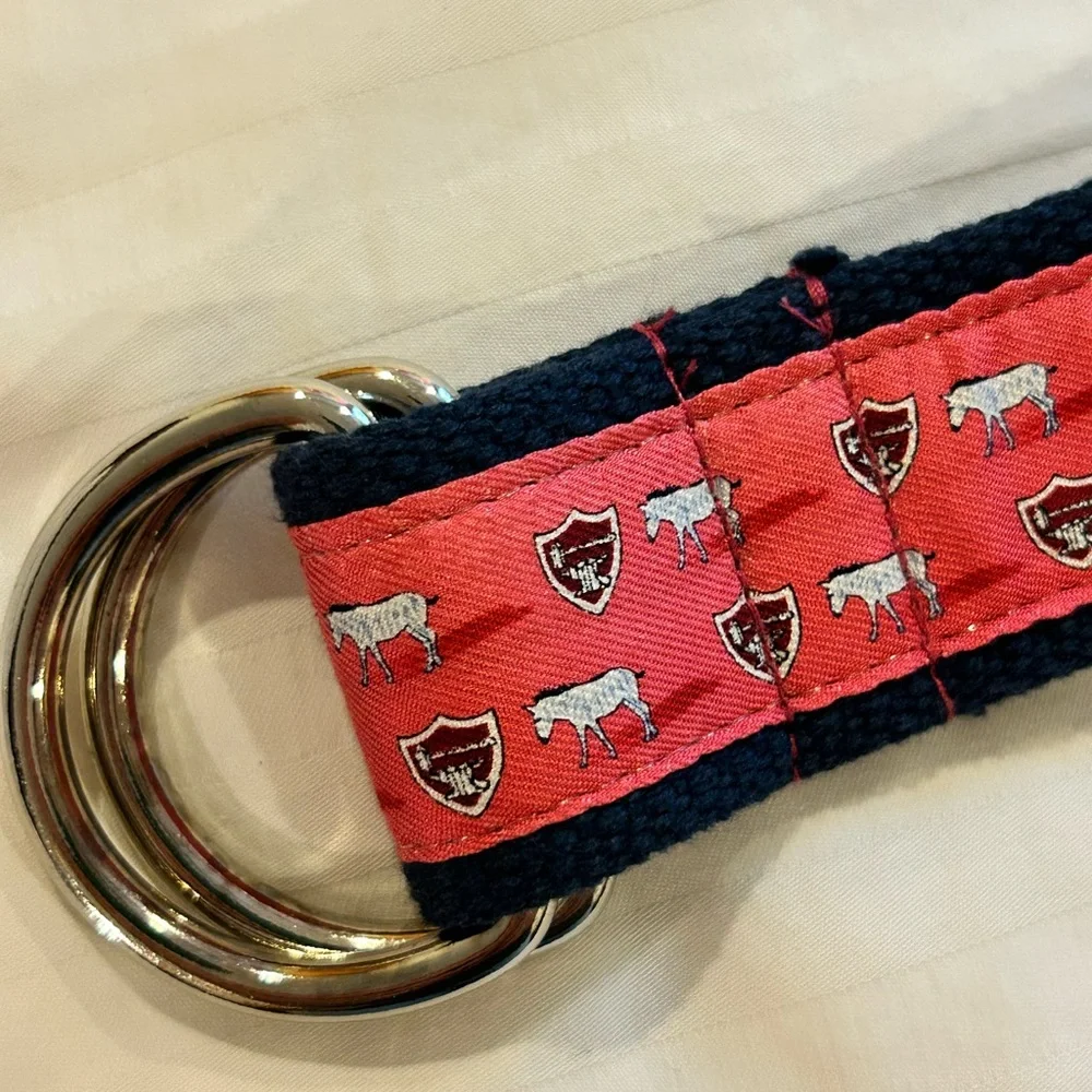 Vineyard Vines‎ Women’s Belt D-Ring Preppy Zebra Blue Pink Size Small 34”